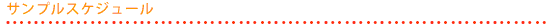 サンプルスケジュール