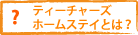�e�B�[�`���[�Y�z�[���X�e�C�Ƃ́H