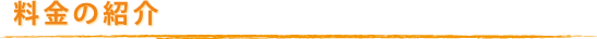 �z�[���X�e�C�����̏Љ�