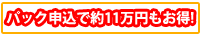 �p�b�N�\���Ŗ�P�P���~������