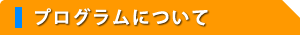 �v���O�����ɂ���