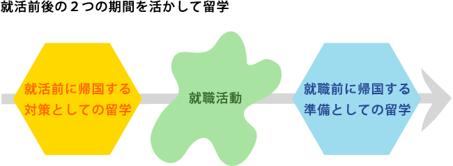 就職活動前後の2つの期間を活かして留学