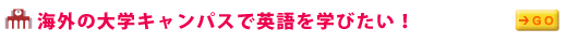 �C�O�̑�w�L�����p�X�ŉp����w�т����I
