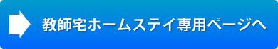 ���t��z�[���X�e�C�v�����ڍׂ�