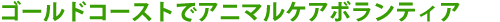 �S�[���h�R�[�X�g�ŃA�j�}���P�A�{�����e�B�A