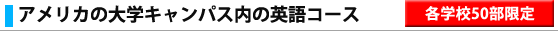 AJ̑wLpX̉pR[X@@@ewZTO