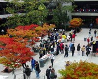 North Seattle Community College, Seattle, Washington ノース・シアトル・コミュニティ・カレッジ