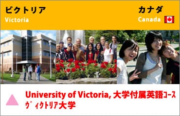  海外の大学キャンパスで英語を学びたい!