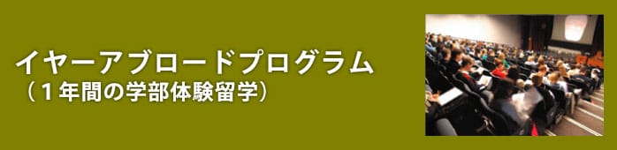 イヤーアブロードプログラム